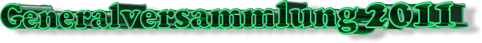 Generalversammlung 2011