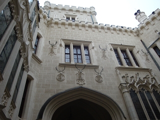 k-Rosenberg 2010 059