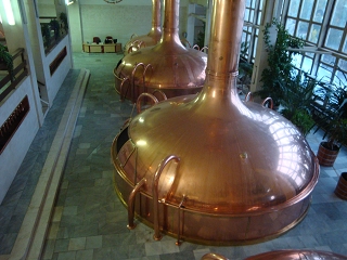 k-Rosenberg 2010 093