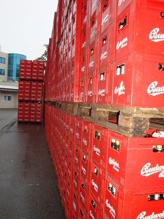 k-Rosenberg 2010 125