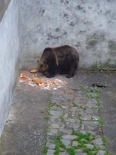 k-Rosenberg 2010 219