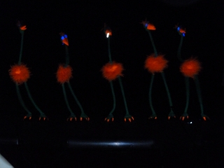 k-Zunftabende 2011 036